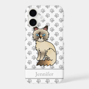 Tortoiseshell Birman / Ragdoll Cute Cat & Name
