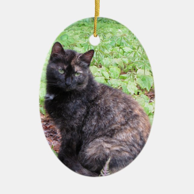 Tortoiseshell Black Cat Garden Ceramic Tree Decoration (Front)