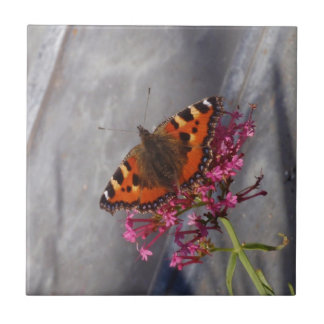 Tortoiseshell Butterfly Tile