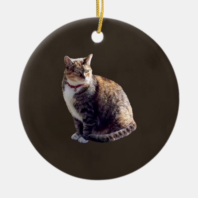 Tortoiseshell Cat Ceramic Tree Decoration (Front)