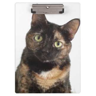 Tortoiseshell Cat Clipboard