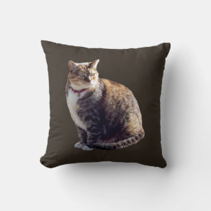 Tortoiseshell Cat Cushion