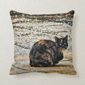 Tortoiseshell Cat Cushion