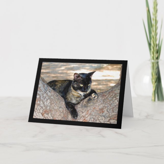 Tortoiseshell Cat in Tree Card (Front)