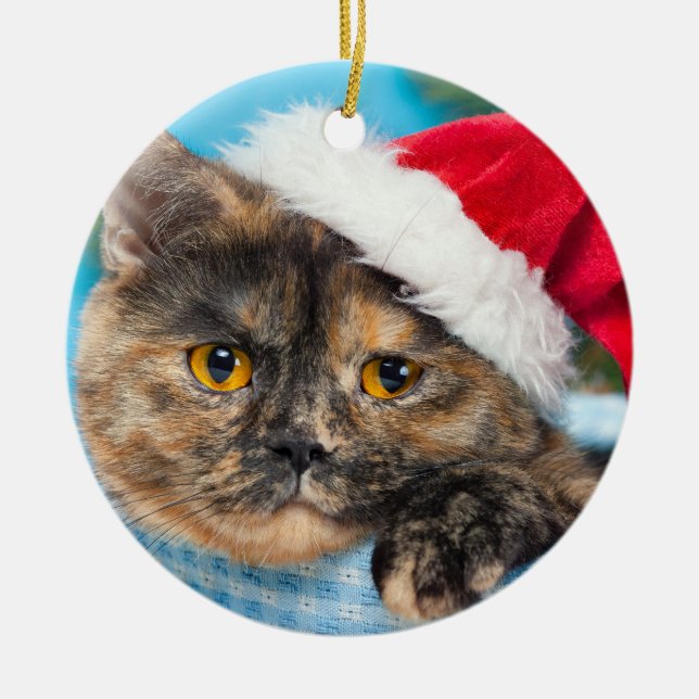 Tortoiseshell Cat Purr-fect Holiday Season Ceramic Tree Decoration (Front)