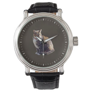 Tortoiseshell Cat Watch