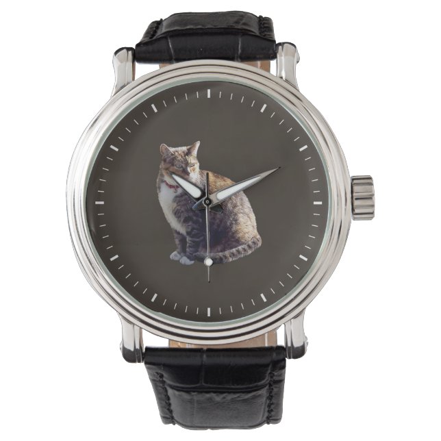 Tortoiseshell Cat Watch (Front)