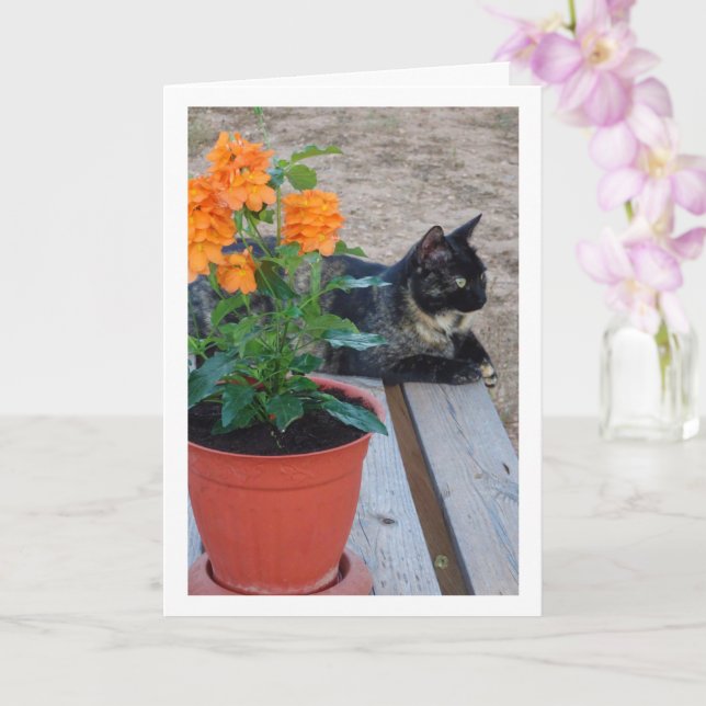 Tortoiseshell Cat with Firecracker Flowers Card (Orchid)