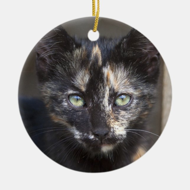 Tortoiseshell Kitten Ceramic Tree Decoration (Front)