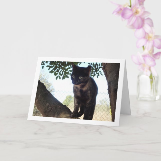 Tortoiseshell Kitten in Tree Card (Orchid)