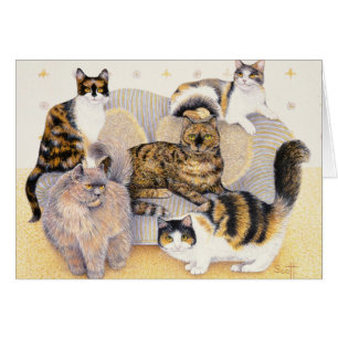 Tortoiseshell ladies