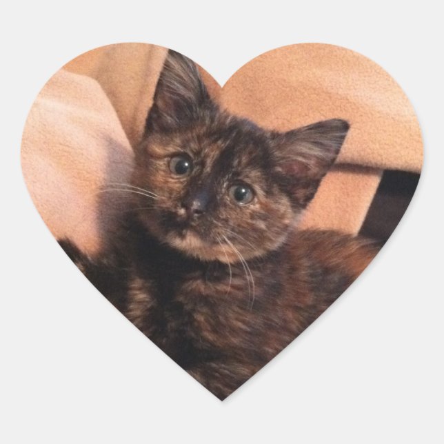 Tortoiseshell, Tortie, Tortie Kitten, Kitten, Cat, Heart Sticker (Front)