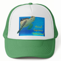 Tortuga Hat