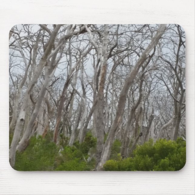 Tortured Trees Mouse Pad (Front)