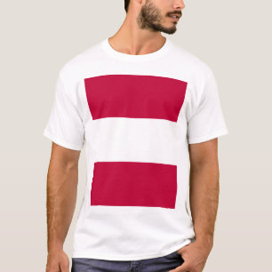 Tosa domain, Japan T-Shirt