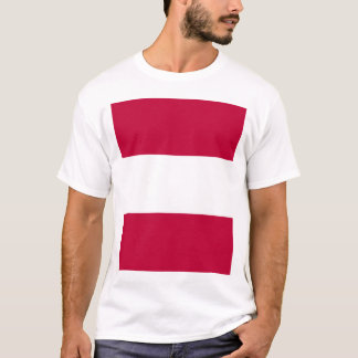 Tosa domain, Japan T-Shirt