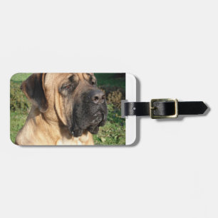 tosa.png luggage tag