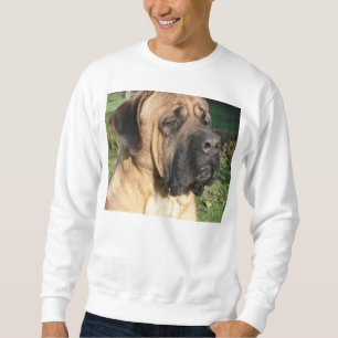 tosa sweatshirt