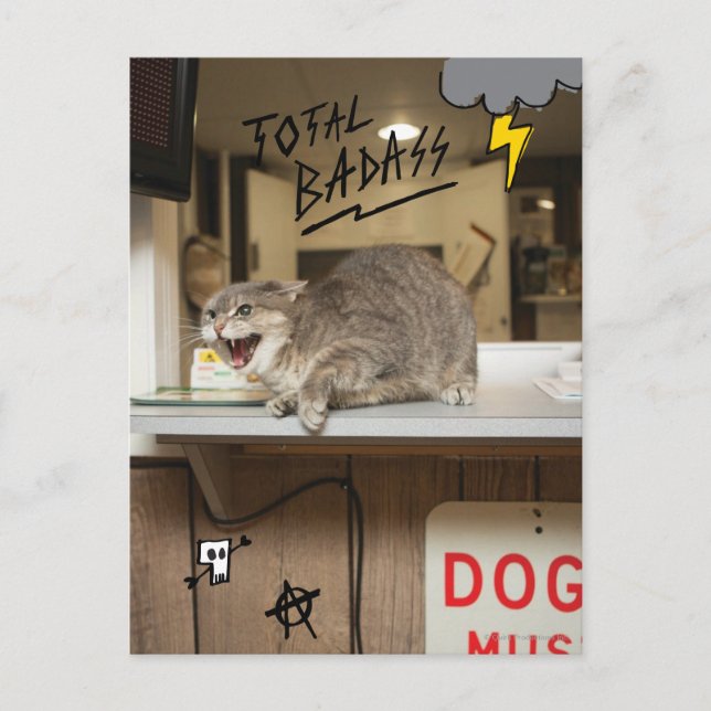Total Badass Cat Postcard (Front)