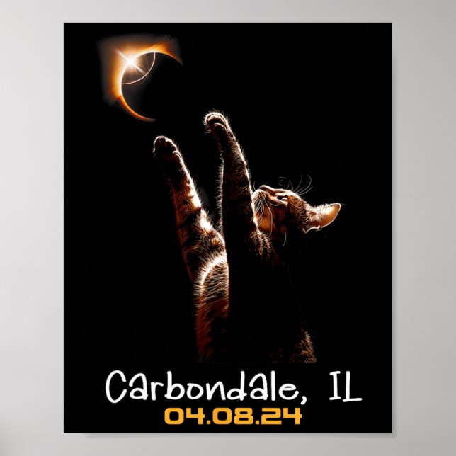 Total Solar Eclipse Carbondale Illinois  Poster (Front)