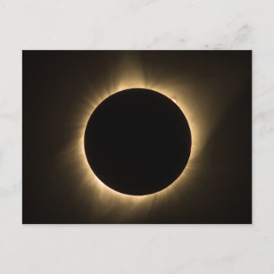 Total Solar Eclipse with Visible Sun Flares Postcard