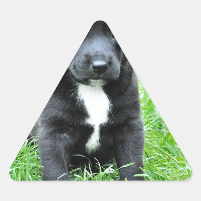 Totally Adorable Puppy Triangle Sticker (Front)