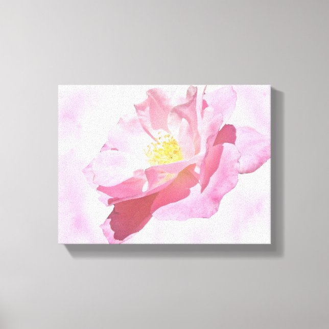 Totally Pink Cultivated Rose Blossom Canvas Print (Front)