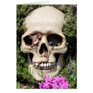 Totenkopf - Gothic / Map