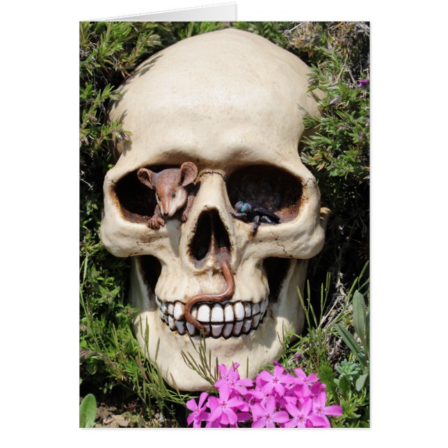 Totenkopf - Gothic / Map (Front)