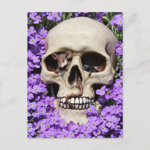 Totenkopf - Gothic / Postkarte Postcard