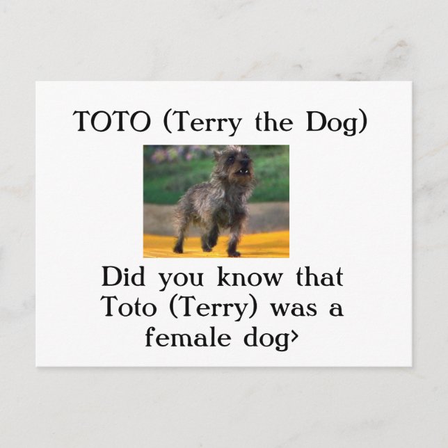 Toto (Terry the Dog) Postcard (Front)