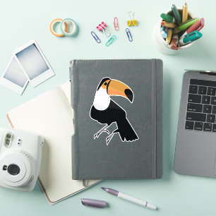 Toucan