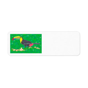 TOUCAN