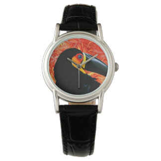Toucan 3 Watch & Numeral Options