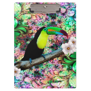 Toucan 4 Clipboard
