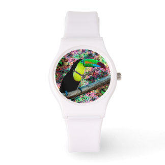 Toucan 4 Watch & Numeral Options