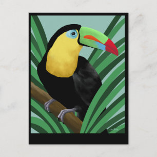 Toucan Art Postcards