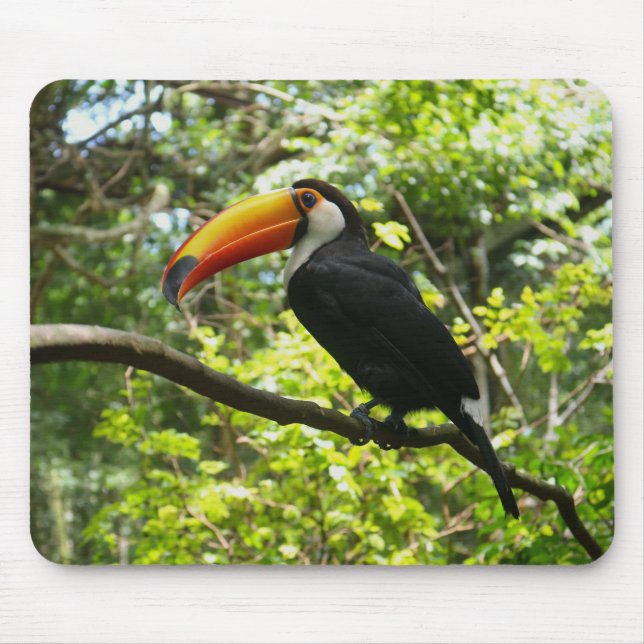 toucan, bird, exotic mouse pad (Front)