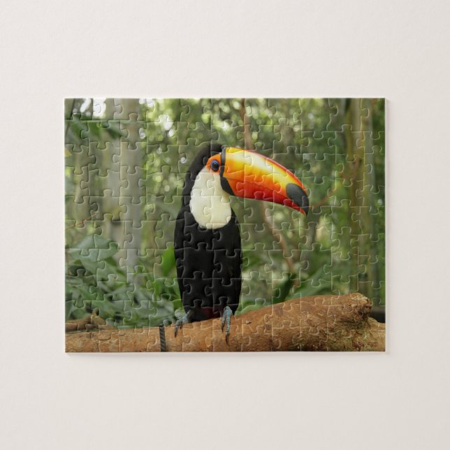 Toucan bird on tree branch jigsaw puzzle (Horizontal)