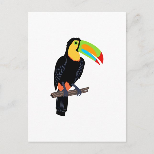 TOUCAN BIRD POSTCARD (Front)