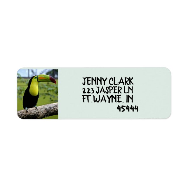 TOUCAN BIRD Return Address Labels (Front)