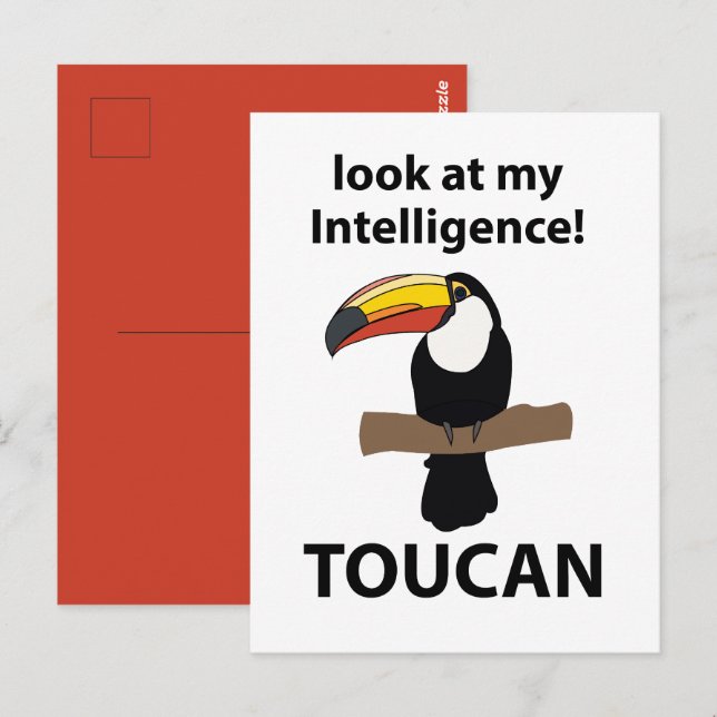 Toucan Bird Tropical Funny Postcard (Front/Back)
