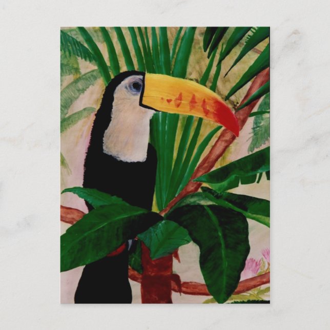 Toucan Bird Wildlife Art South America Postcard (Front)