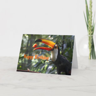 Toucan Birthday Card