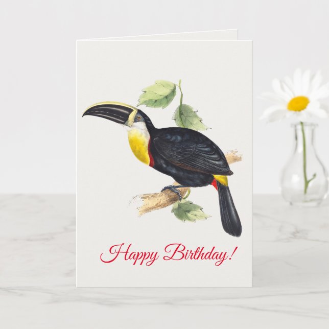Toucan Card (Small Plant)