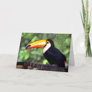 'Toucan' Card