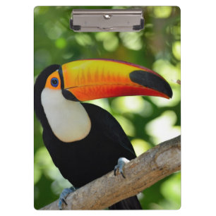 Toucan Clipboard