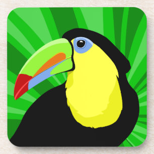 Toucan Coaster