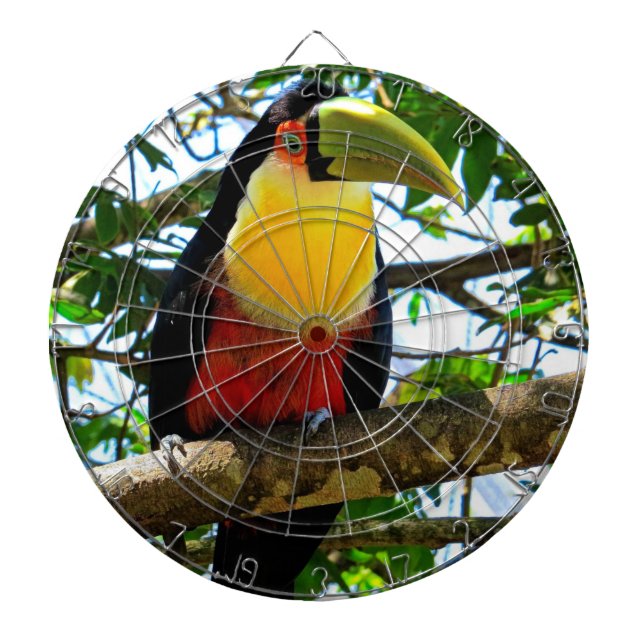 Toucan Dartboard (Front)