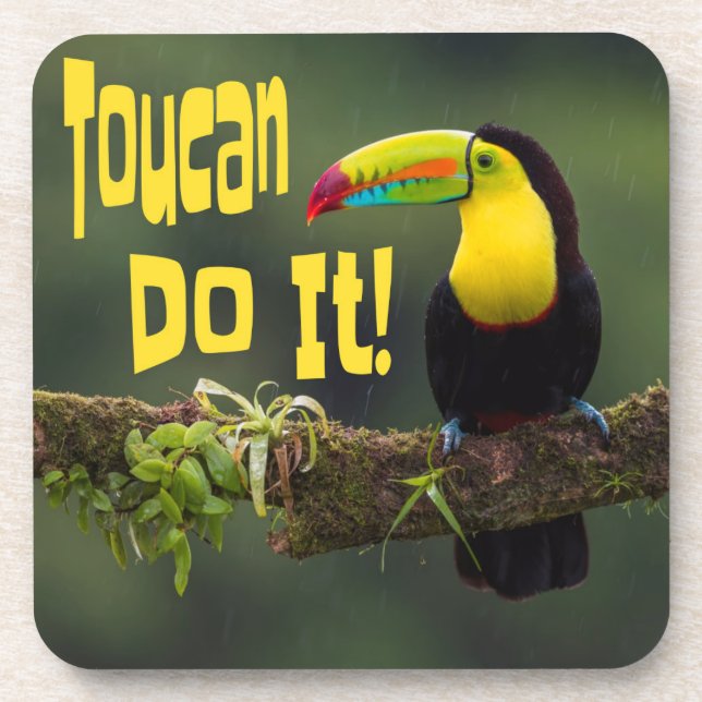 Toucan Do It! Colourful Bird Motivational Funny Coaster (Front)